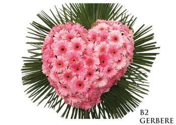 CUORE - B2